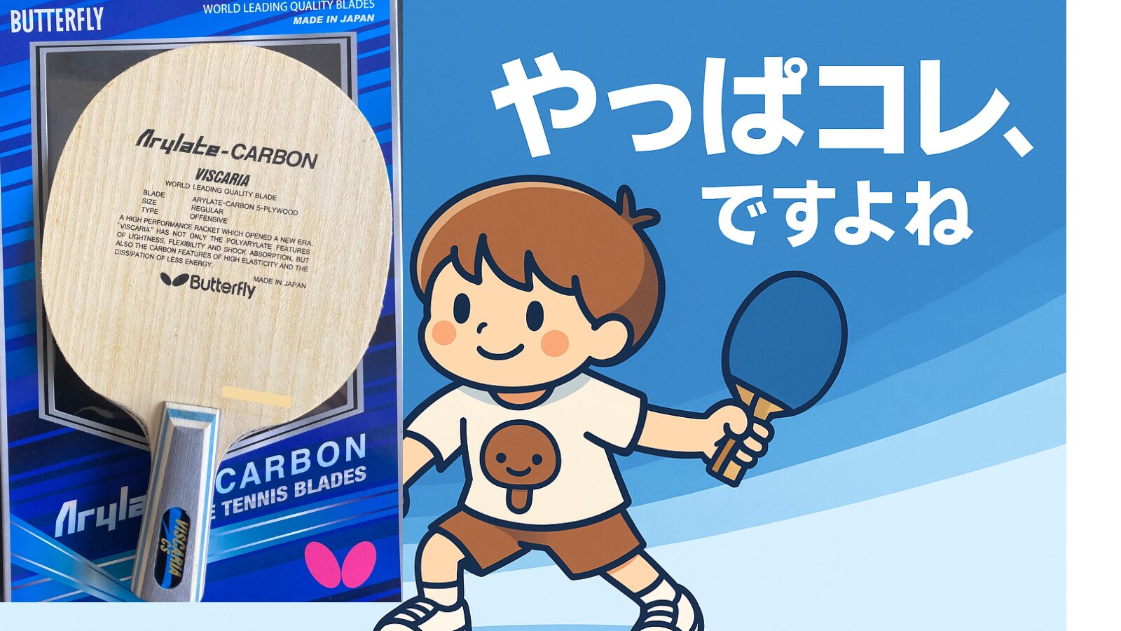 【徹底レビュー】ビスカリアは本当に最強？使ってわかった魅力と注意点